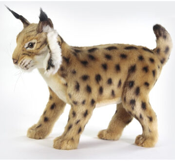 Hansa Knuffel lynx - bruin - 35 cm - pluche - knuffeldier - luxe kwaliteit