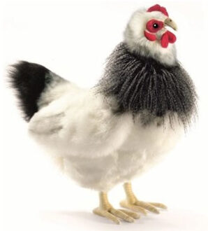 Hansa Levensechte Hansa pluche kip knuffel 23 cm Multi