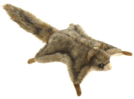 Hansa Levensechte Hansa pluche vliegende eekhoorn knuffel 21 cm Multi