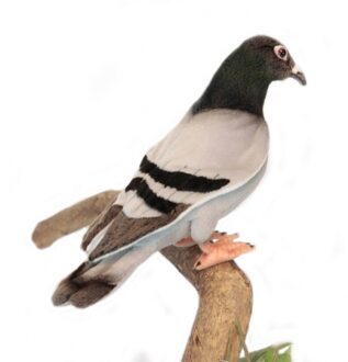 Hansa pluche duif knuffel - 29 cm - vogel knuffeldieren - luxe kwaliteit Multi