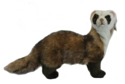 Hansa pluche fret knuffel - 35 cm - dieren knuffels