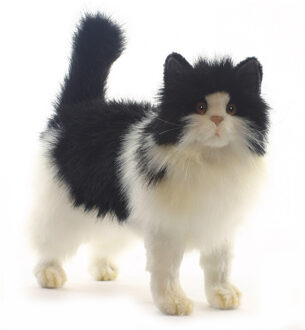 Hansa Pluche Perzische kat/poes knuffel - zwart/wit - 40 cm - pluche - huisdier knuffel Multi