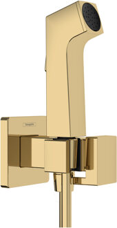 hansgrohe bidethanddouche 1jet E EcoSmart voor koud water met douchehouder en doucheslang 125 cm, Polished Gold-Optic Polished Gold Optic
