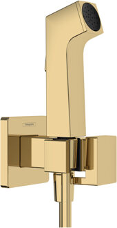 hansgrohe bidethanddouche 1jet E EcoSmart voor warm water met douchehouder en doucheslang 125 cm, Polished Gold-Optic Polished Gold Optic