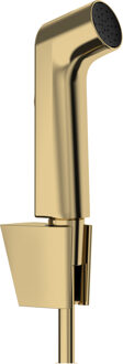 hansgrohe bidethanddouche 1jet EcoSmart met Porter S douchehouder en doucheslang 125 cm, Polished Gold-Optic Polished Gold Optic