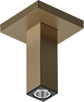 hansgrohe plafondaansluiting E 10 cm, Brushed Bronze