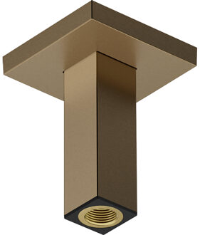 hansgrohe Pulsify e plafondaansluiting 10cm brushed bronze 24338140 Bronze brushed