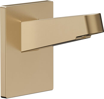 hansgrohe Pulsify s douchearm v. hoofddouche 260 brushed bronze 24149140 Bronze brushed