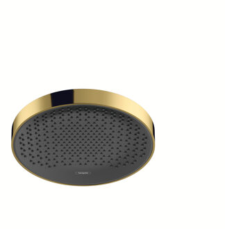 hansgrohe Rainfinity PowderRain hoofddouche 250 1jet, Polished Gold Optic