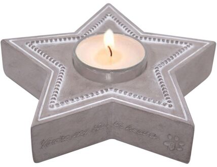 Happy-House Memory Collection Waxine Ster 15x14.5x4 cm Beige