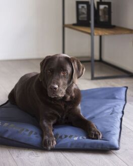 Happy-House Strong - Hondendeken - Donkerblauw - 123x80 cm - Extra groot