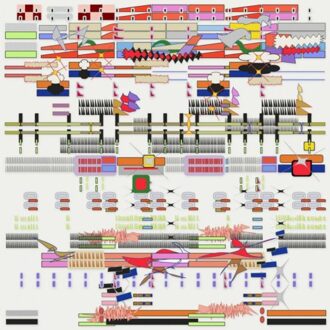 Hardcore - Grrl & Made Of Oak