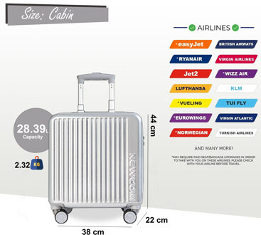 Harde koffer 44 x 22 x 38 cm Zilver TSA Veilige Bagagekoffer Geschikt voor Easyjet, Ryanair