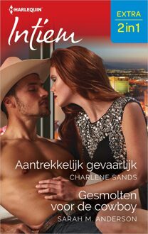Harlequin Aantrekkelijk gevaarlijk / Gesmolten voor de cowboy - Charlene Sands, Sarah M. Anderson - ebook