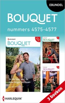 Harlequin Bouquet e-bundel nummers 4575 - 4577 - Clare Connelly, Tara Pammi, Abby Green - ebook