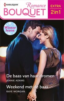 Harlequin De baas van haar dromen / Weekend met de baas - Jennie Adams, Raye Morgan - ebook