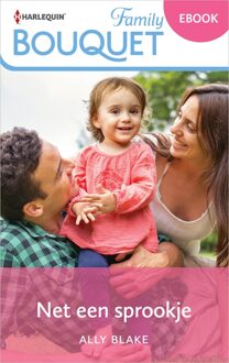 Harlequin Net een sprookje - Ally Blake - ebook