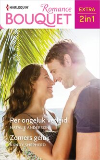 Harlequin Per ongeluk verleid / Zomers geluk - Natalie Anderson, Kandy Shepherd - ebook