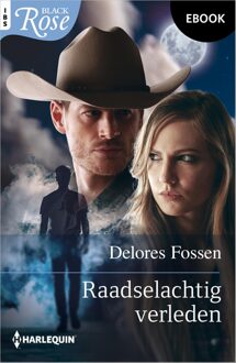 Harlequin Raadselachtig verleden - Delores Fossen - ebook