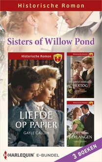 Harlequin Sisters of Willow Pond - Gayle Callen - ebook