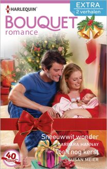 Harlequin Sneeuwwit wonder ; Toch nog kerst - eBook Barbara Hannay (940251550X)