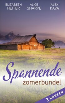 Harlequin Spannende zomerbundel (3-in-1) - eBook Elizabeth Heiter (9402529616)