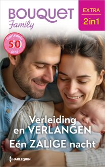 Harlequin Verleiding en verlangen / Eén zalige nacht - Dani Collins - ebook