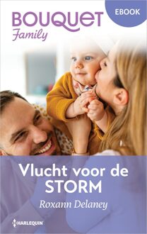 Harlequin Vlucht voor de storm - Roxann Delaney - ebook