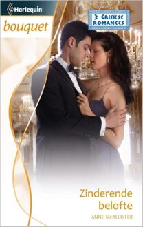 Harlequin Zinderende belofte - eBook Anne McAllister (9461992831)