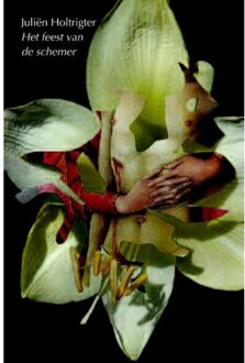 Harmonie, Uitgeverij De Het feest van de schemer - Boek Juliën Holtrigter (9061698979)