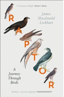 Harper Collins Uk Raptor