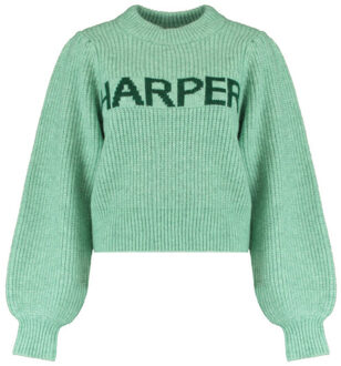 Harper & Yve Pullover dw25w515 lysanne Groen - S