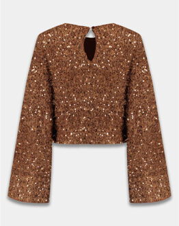 Harper & Yve Top lange mouw dw25p620 cath Bruin