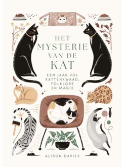 Harpercollins Holland Het Mysterie Van De Kat - Alison Davies