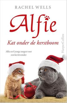 Harpercollins Holland Kat Onder De Kerstboom - Alfie - Rachel Wells