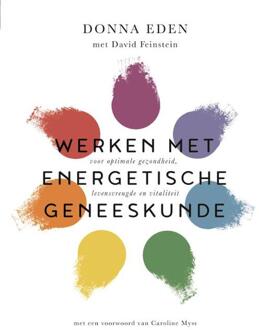 Harpercollins Holland Werken Met Energetische Geneeskunde - (ISBN:9789401304528)