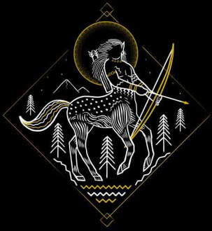 Harry Potter Ban de Centaur trui - Zwart - L