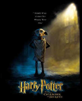 Harry Potter Chamber Of Secrets - Dobby Hoodie - Black - S Zwart