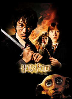 Harry Potter Chamber Of Secrets Hoodie - Black - S Zwart