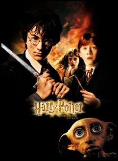 Harry Potter Chamber Of Secrets Unisex T-Shirt - Black - M Zwart