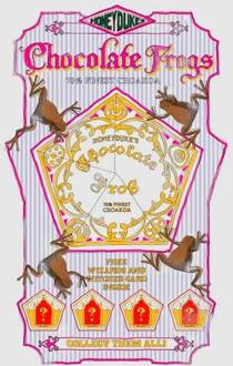 Harry Potter Chocolate Frog dames t-shirt - Grijs - 3XL