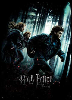 Harry Potter Deathly Hallows Part 1 Unisex T-Shirt - Black - 3XL - Zwart