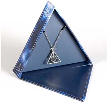 Harry Potter: Deathly Hallows spinning Necklace Gift Set (Silver Tone)
