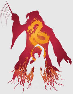 Harry Potter Dumbledore Voldermort dames t-shirt - Grijs - L