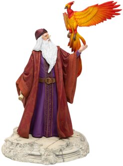 Harry Potter Dumbledore Year One Fi