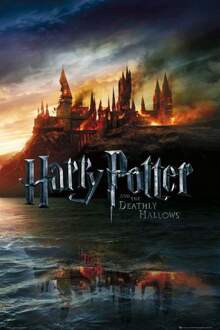 Harry Potter Gbeye Harry Potter 7 Teaser Poster 61x91,5cm Multikleur