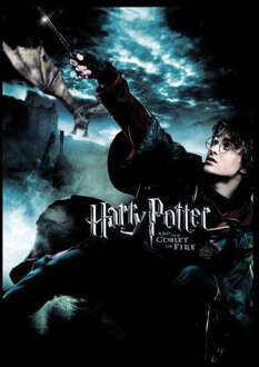 Harry Potter Goblet Of Fire Hoodie - Black - S Zwart