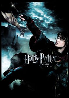 Harry Potter Goblet Of Fire Unisex T-Shirt - Black - L Zwart