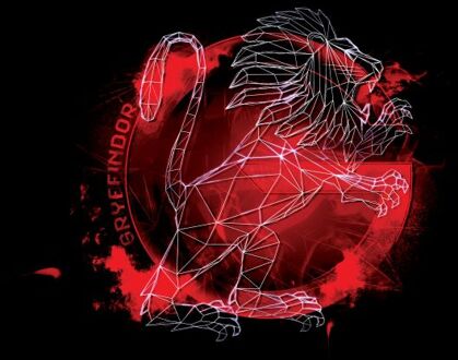 Harry Potter Gryffindor Geometric t-shirt - Zwart - 3XL