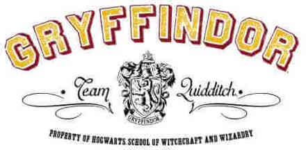 Harry Potter Gryffindor Team Quidditch T-shirt - Wit - 4XL